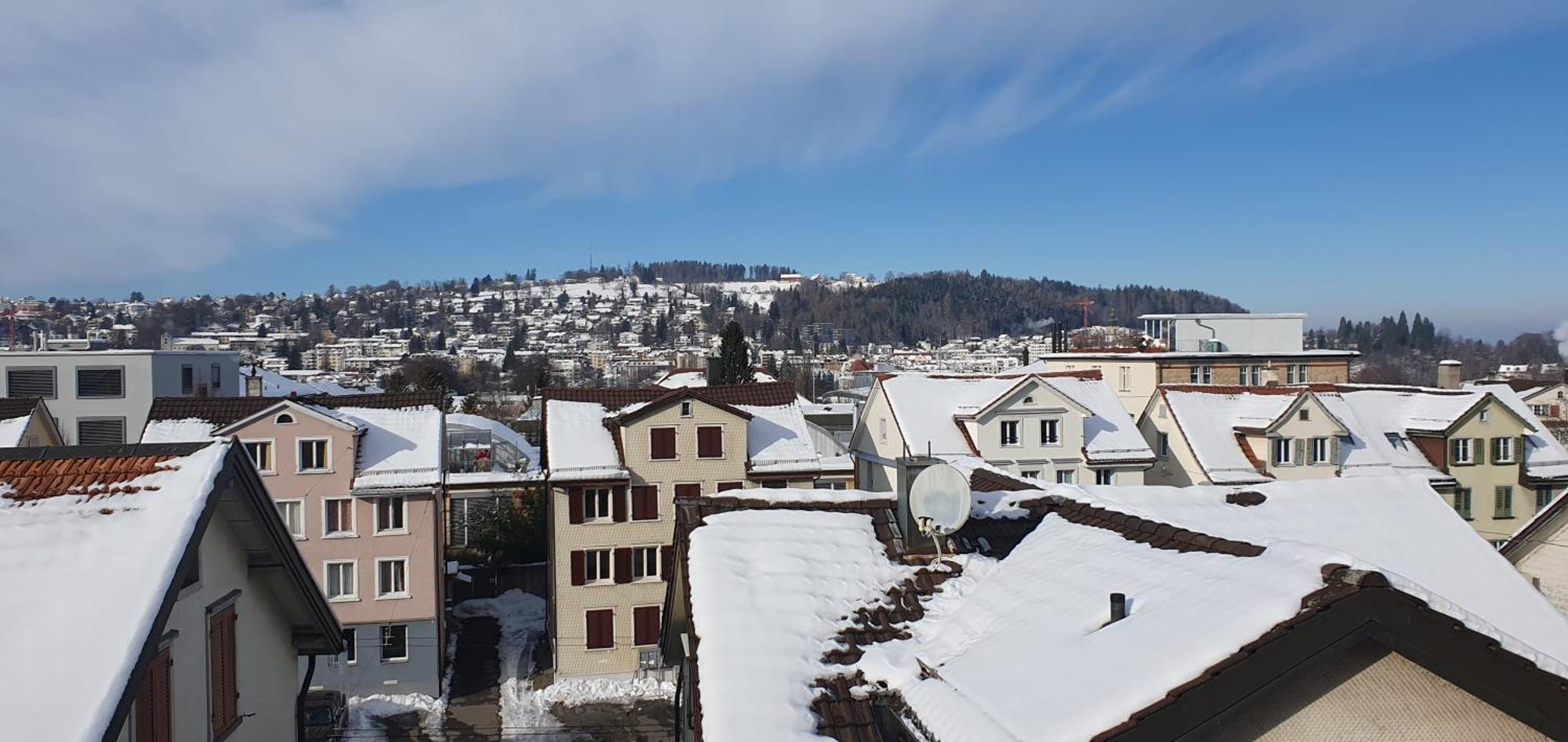 2-4 Zimmer Apartments Stilvoll Im Gertrud Schloessli - Zentral Ruhig St. Gallen Exterior photo
